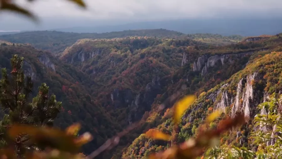 Mountain, Serbia